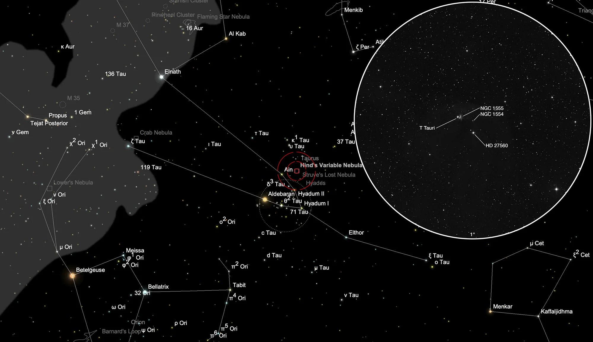 Finder Chart Hinds variable Nebula (NGC 1555)