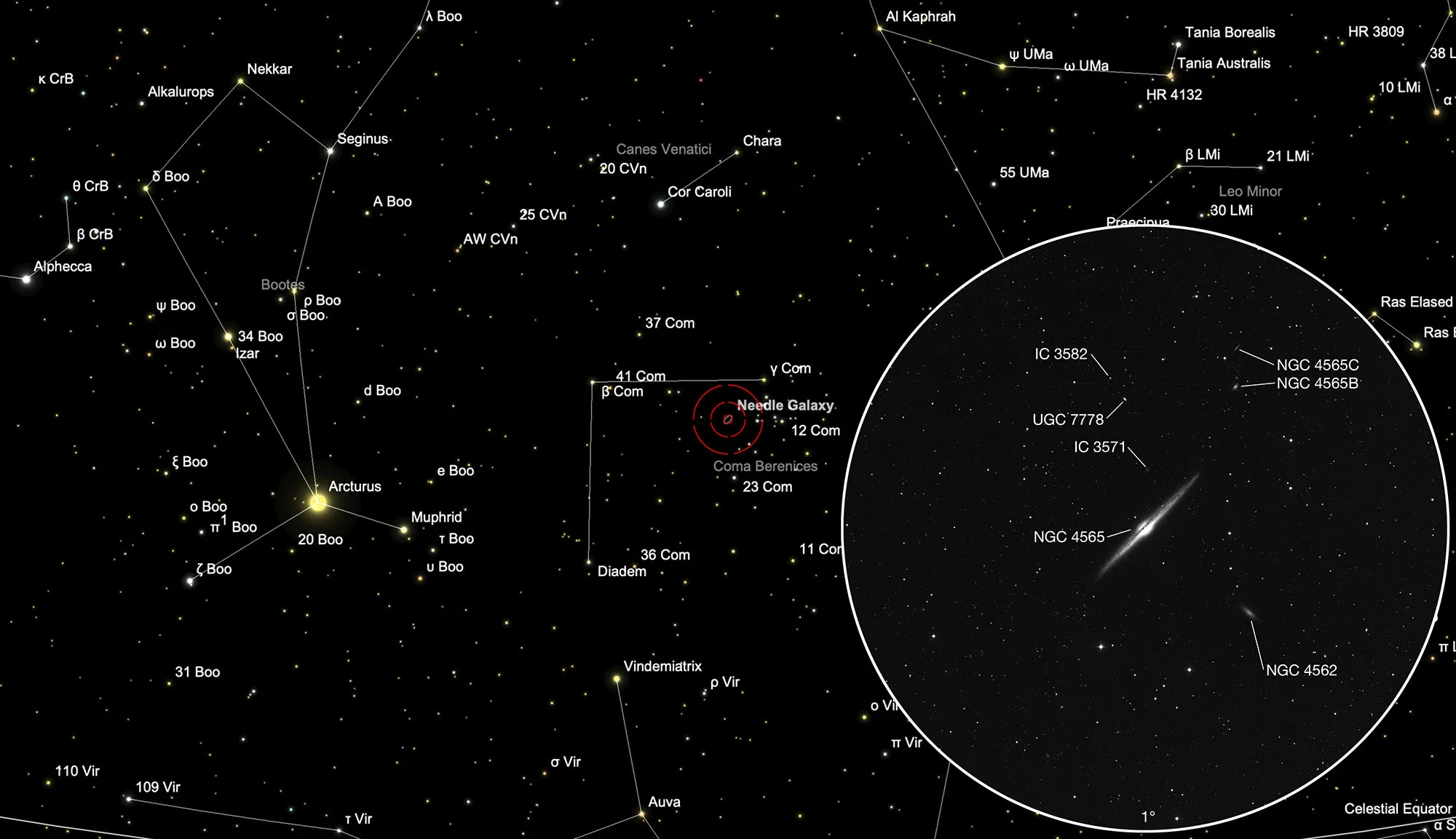 Finder Chart Needle Galaxy (NGC 4565)