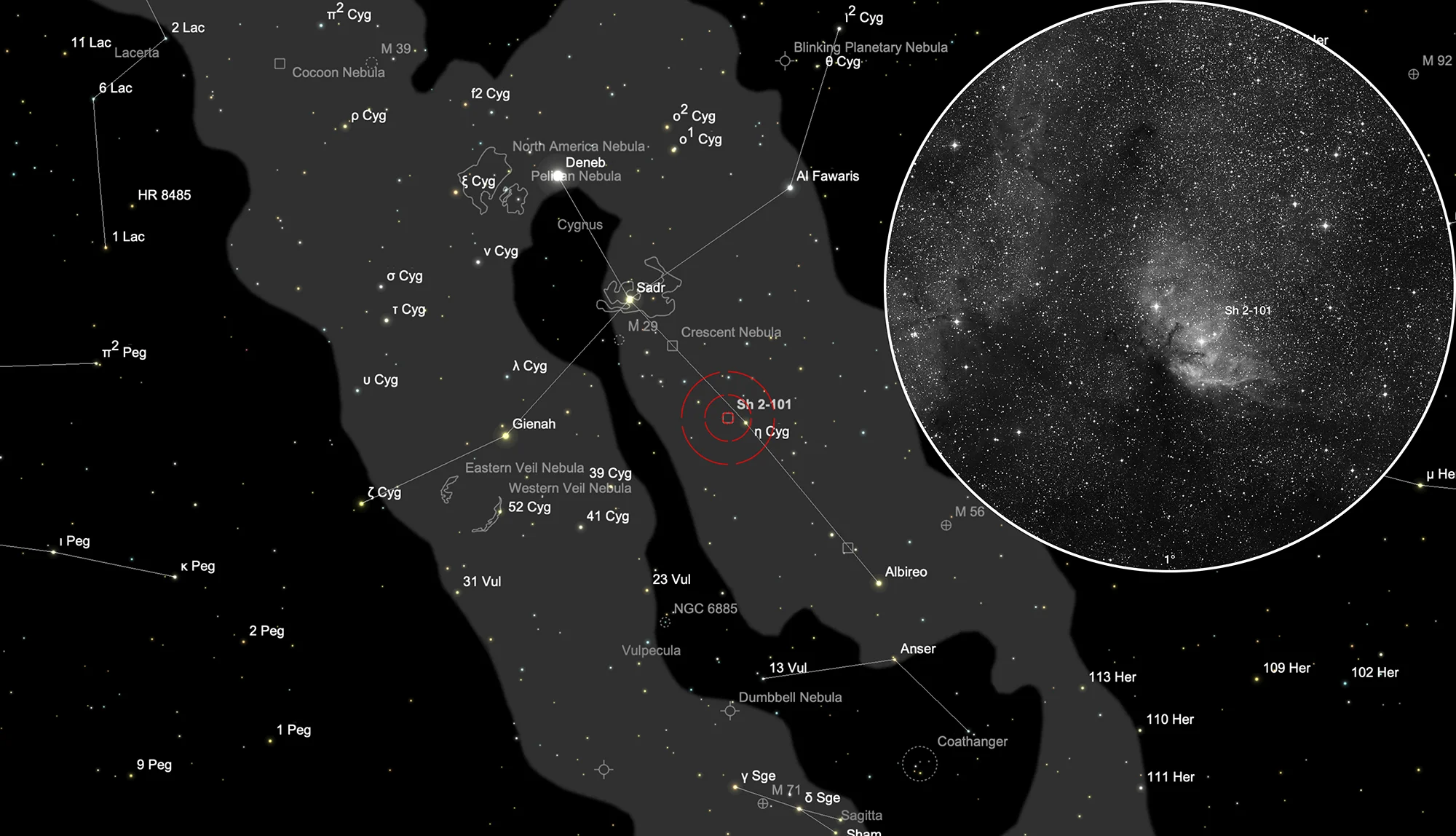 Finder Chart Tulip Nebula (Cederblad 173, Sh 2-101)