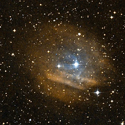 Sh 2-313