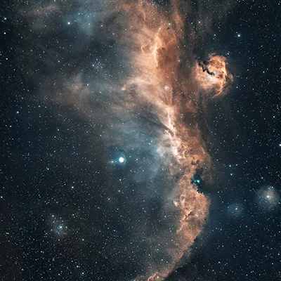 Seagull Nebula, Sh 2-292
