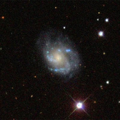 IC 2604