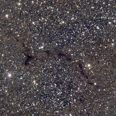 Seahorse Nebula, LDN 1082