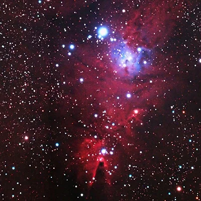 Christmas Tree Cluster, Sh 2-273
