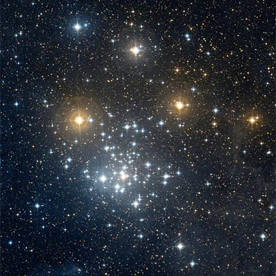 Southern Beehive Cluster, NGC 2516, C 96