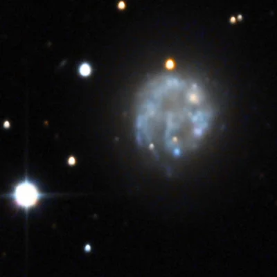 Bear Paw Galaxy, NGC 2537