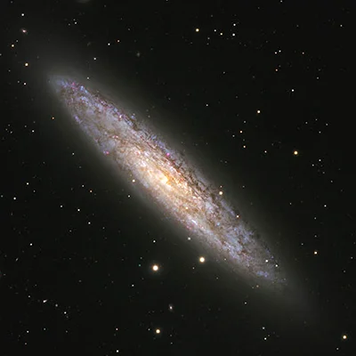 Silver Dollar, NGC 253