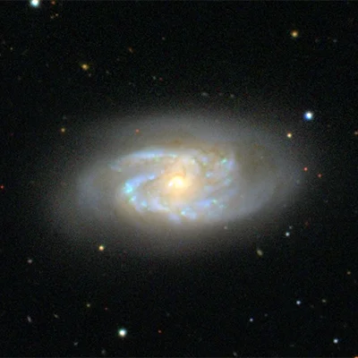 NGC 2964