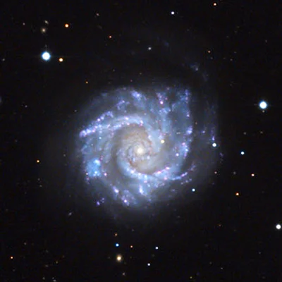 NGC 3631
