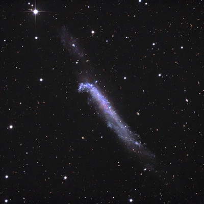Hockey Stick Galaxy, NGC 4656