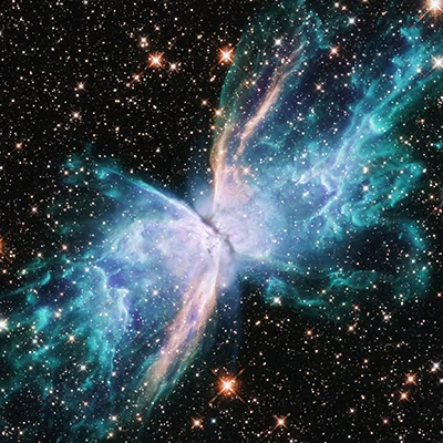 Bug Nebula, Sh 2-6