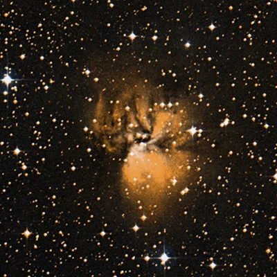 Octopus Nebula, Sh 2-294