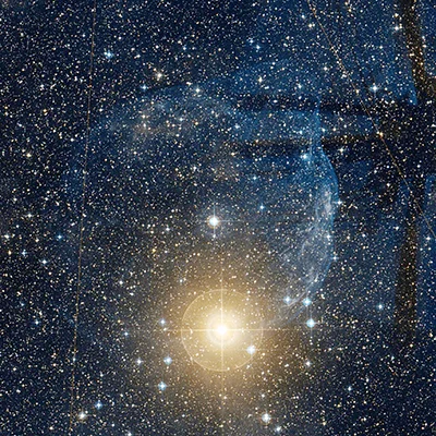 Dolphin Head Nebula, Sh 2-308