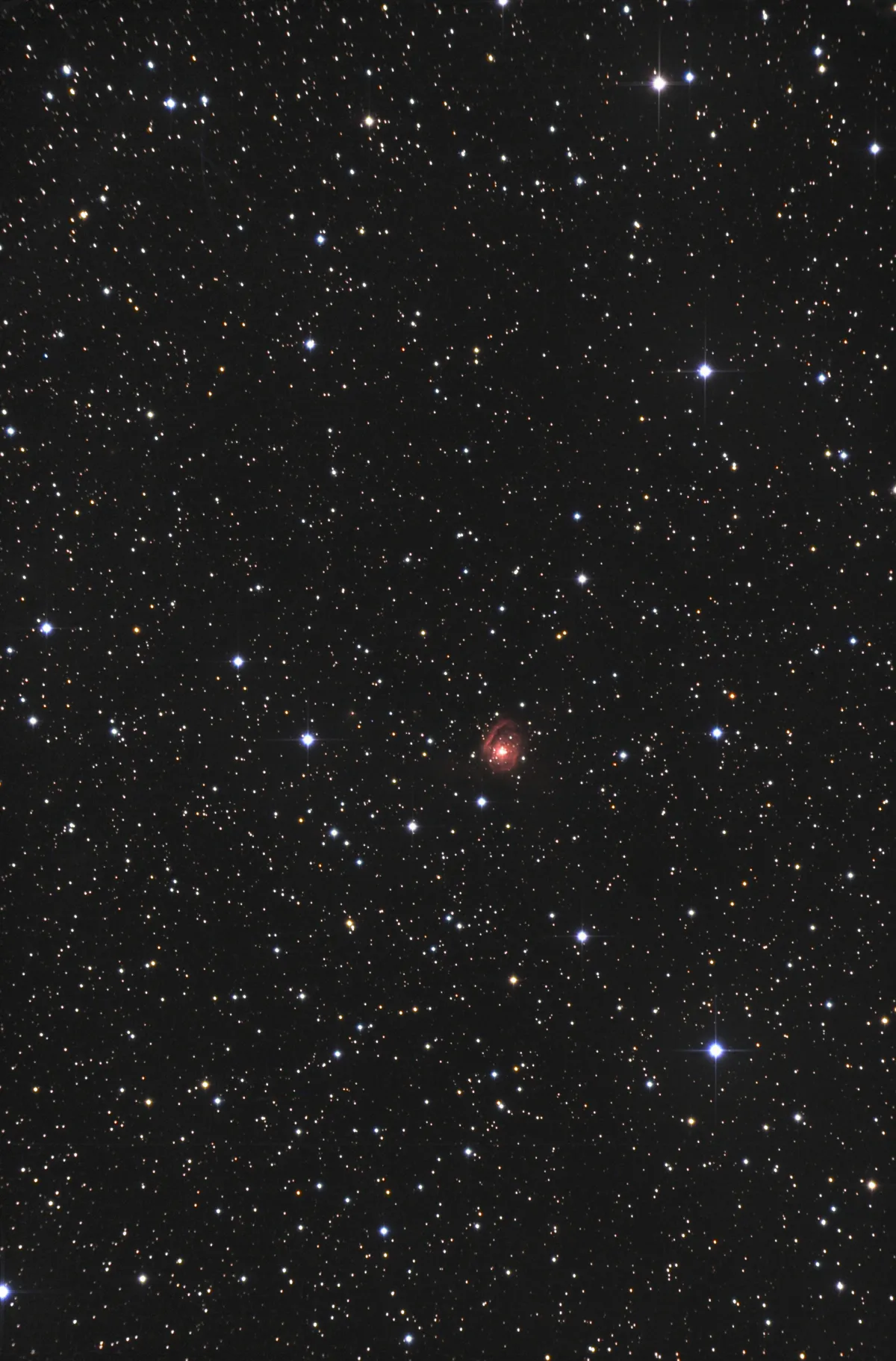 MWC 137