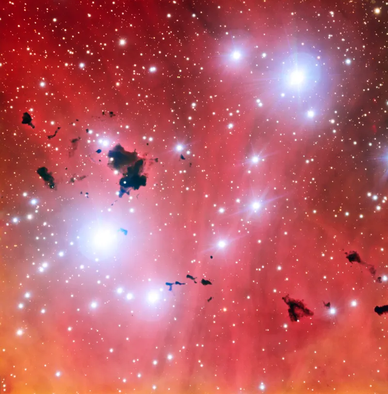 Globules in IC 2944