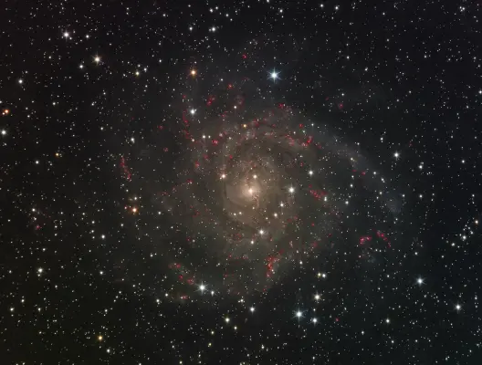 IC 342