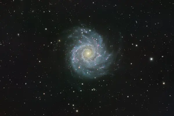 M 74
