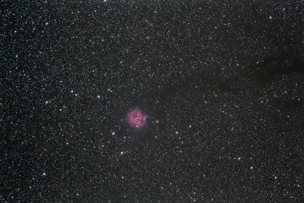 IC 5146