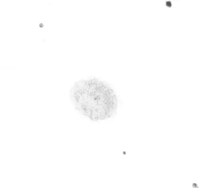 NGC 1501