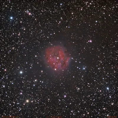 IC 5146