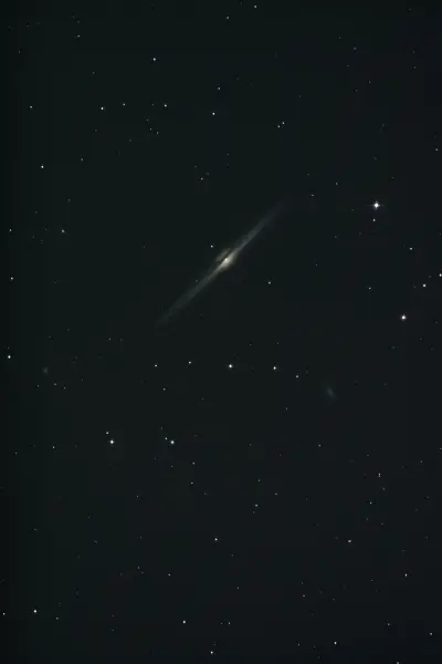 NGC 4565